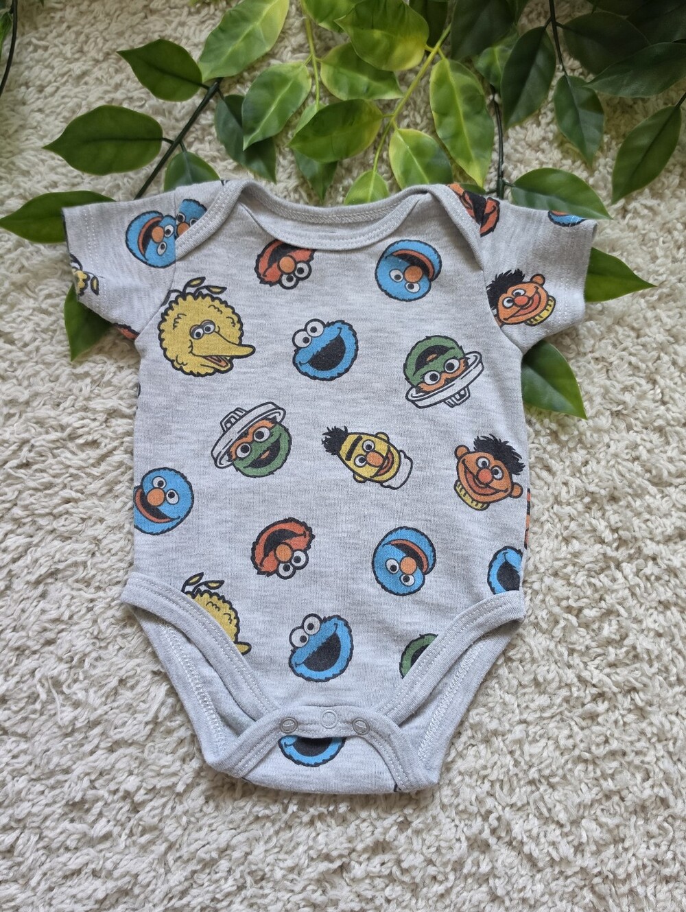 Baby Boy Sesame Street Onesie (0-3 Months)